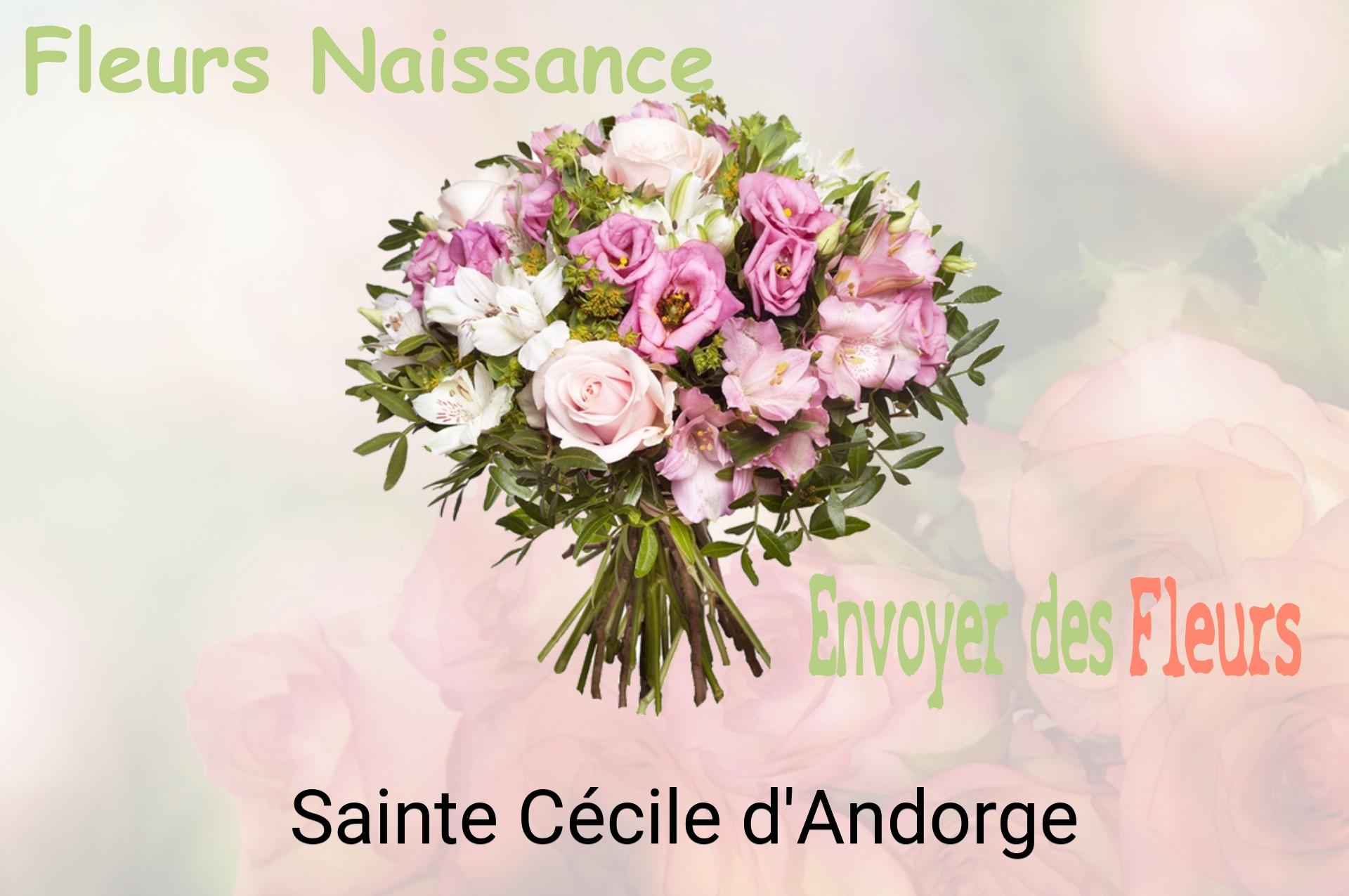 Bouquet de fleurs de naissance livré à Sainte-Cécile-d'Andorge