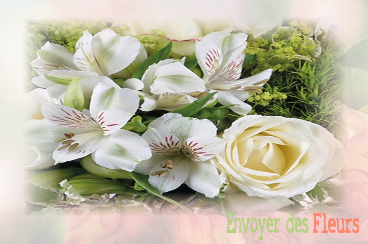 envoyer des fleurs à à SAINTE-CECILE-D-ANDORGE